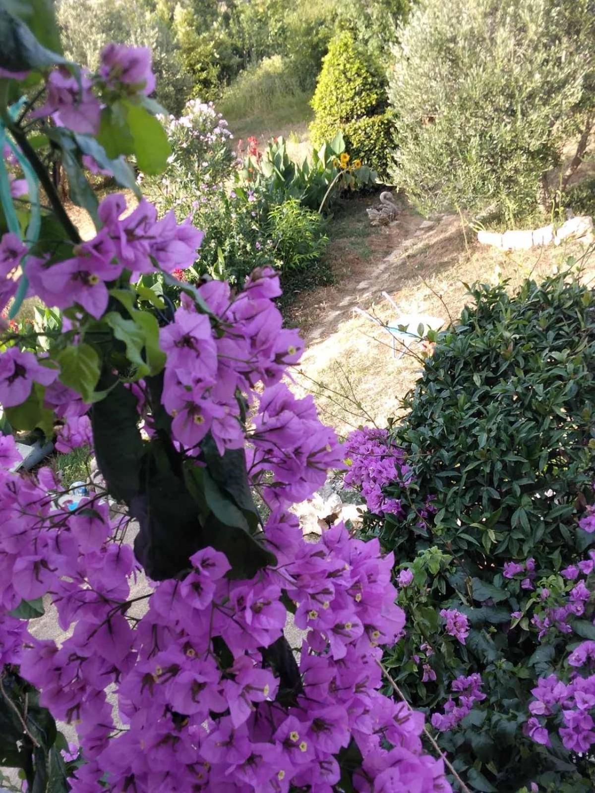 Mundanije Apartments Panorama View Zeljko Scerbe מראה חיצוני תמונה