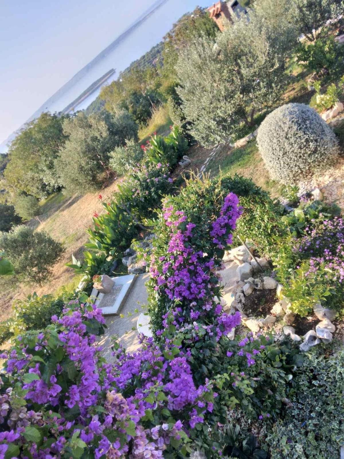 Mundanije Apartments Panorama View Zeljko Scerbe מראה חיצוני תמונה