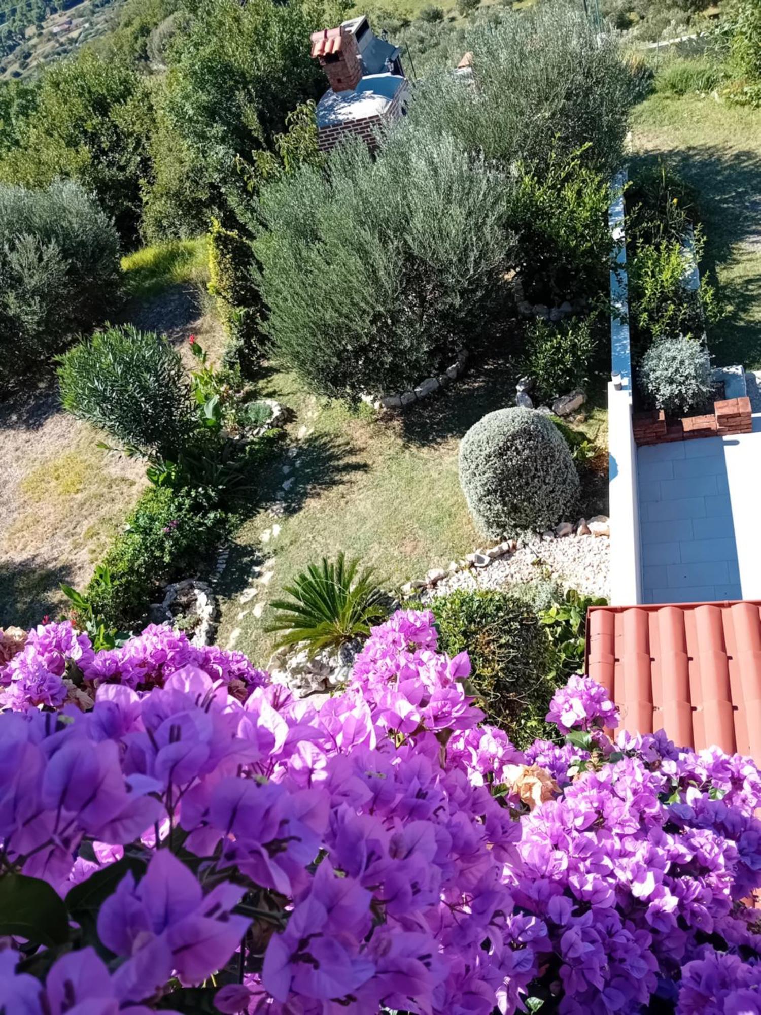 Mundanije Apartments Panorama View Zeljko Scerbe מראה חיצוני תמונה